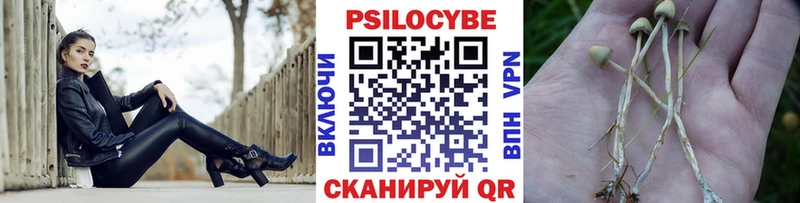 наркота  Партизанск  Галлюциногенные грибы мухоморы 